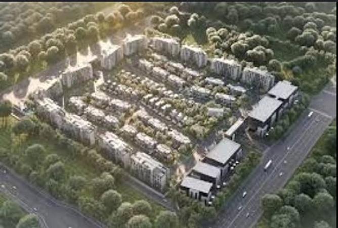 7981222 - Property Image 3