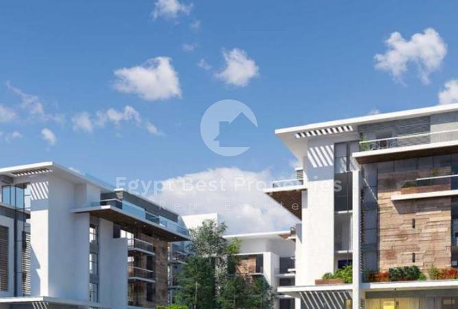 8190299 - Property Image 3