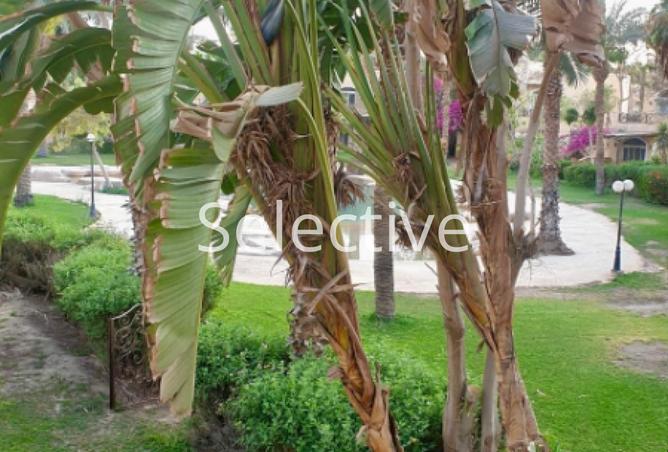 8085449 - صورة العقار 3