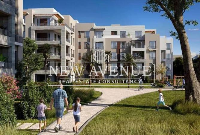 8430132 - Property Image 3