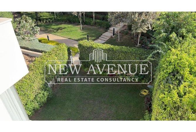 8136489 - Property Image 2