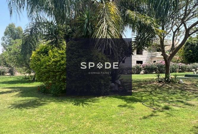 8263518 - Property Main Image