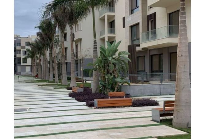 8380357 - صورة العقار 3