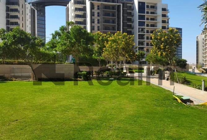 8126787 - Property Image 3
