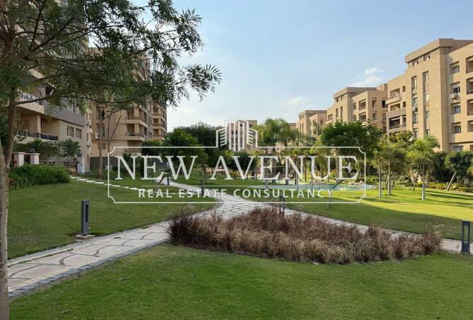 8481698 - Property Image 3