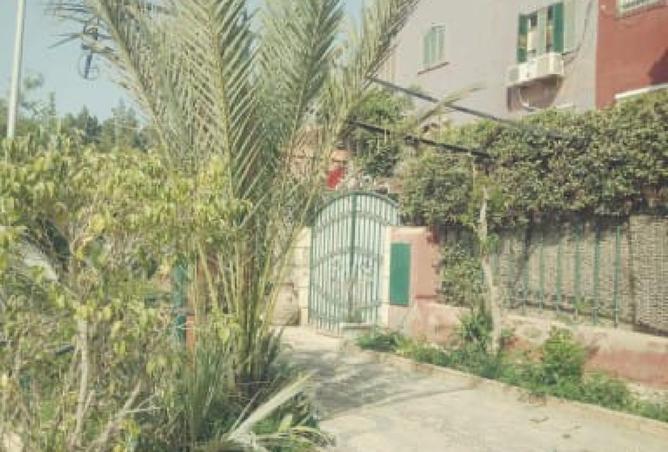 7910007 - صورة العقار 3