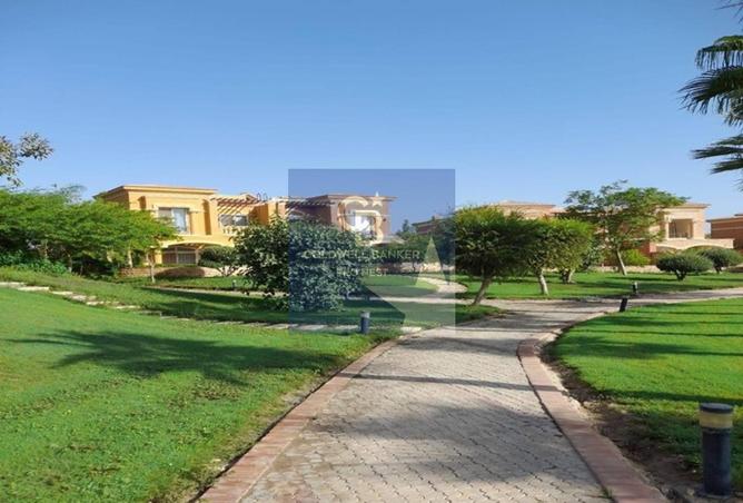 8165795 - صورة العقار 2