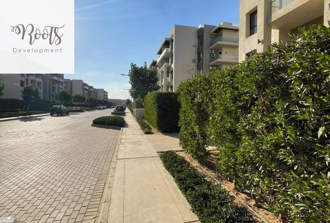 8281192 - Property Image 3