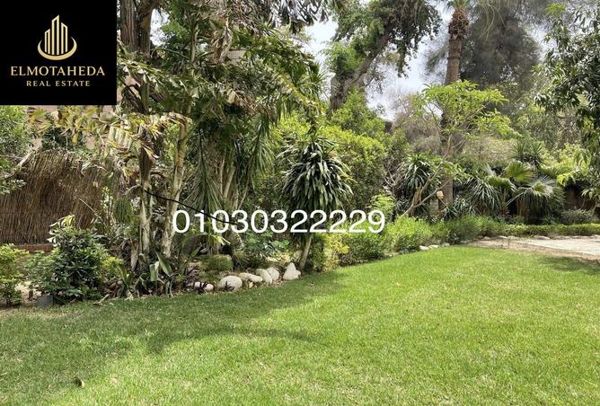 8065310 - صورة العقار 2