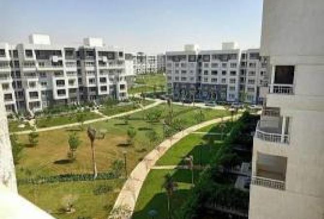 8156111 - Property Image 3