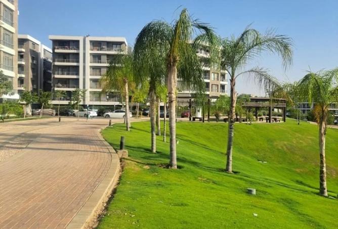 8550169 - Property Image 2