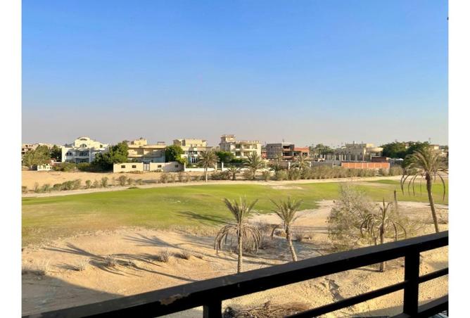 8113881 - صورة العقار 2