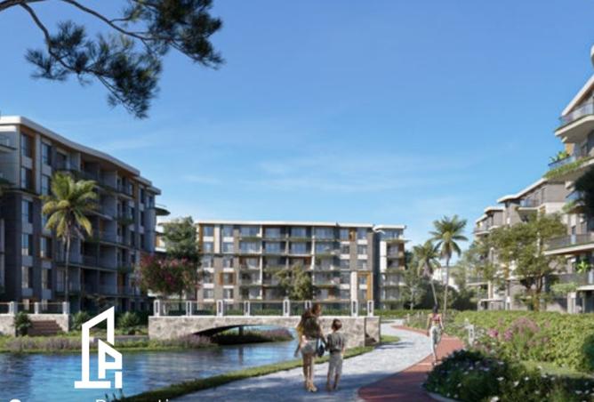 8241995 - Property Image 3