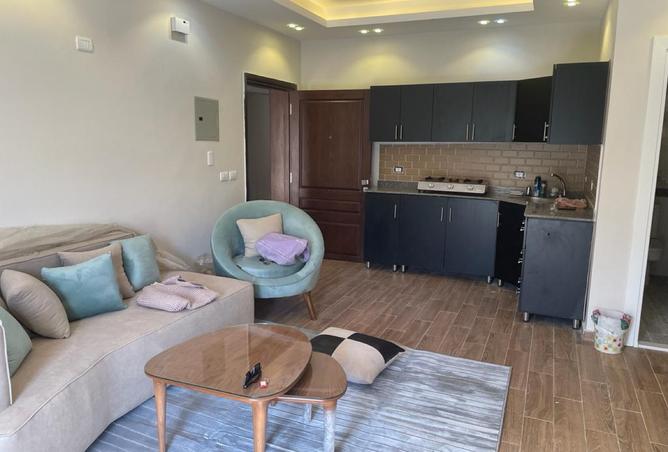 8090551 - Property Image 3
