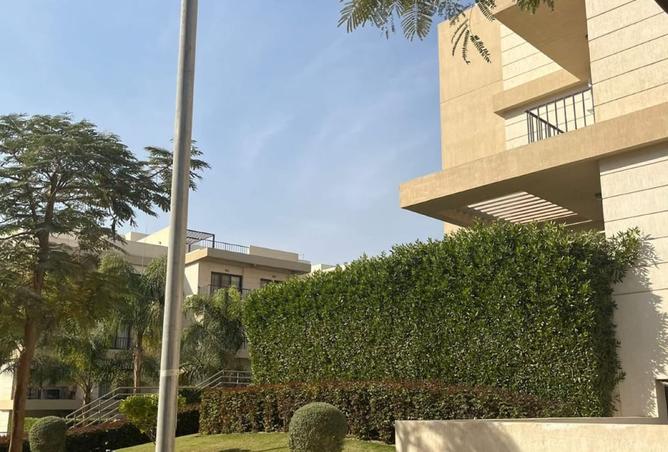 8479309 - Property Image 3