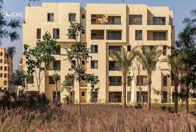 8234613 - Property Image 3