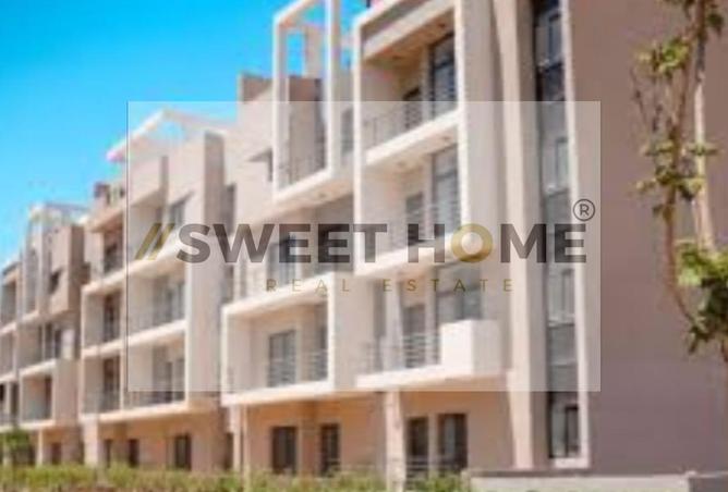8139747 - Property Image 3