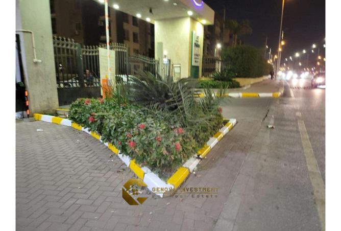 8453537 - Property Image 3