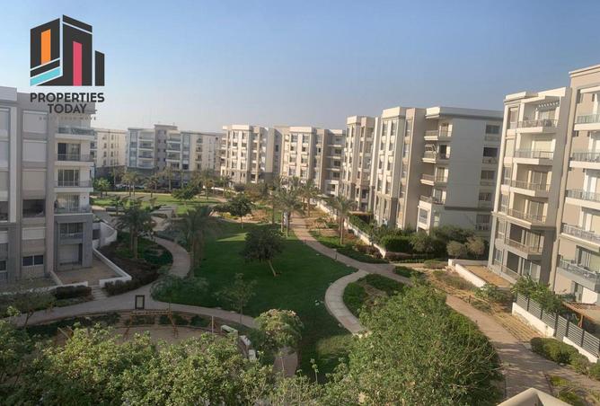 8431961 - Property Image 2