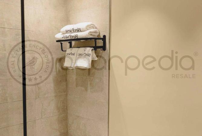 8163217 - Property Image 3