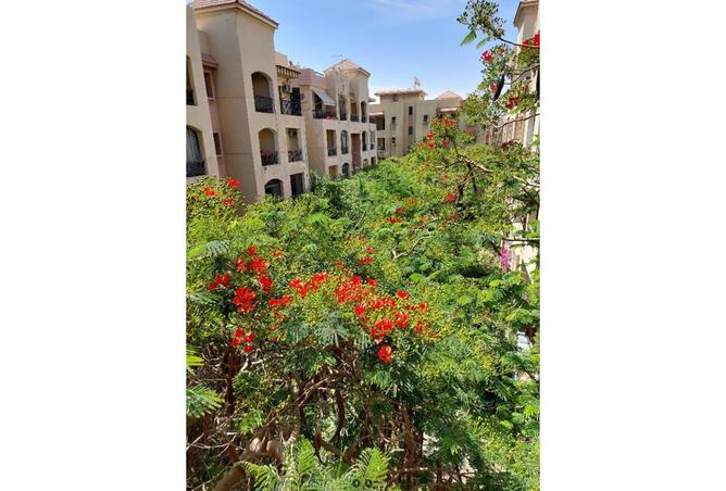 7984971 - صورة العقار 2