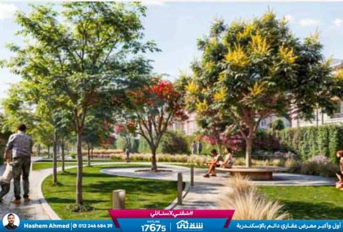 8493505 - Property Image 3