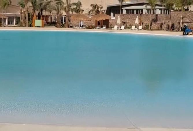 8426101 - Property Image 3