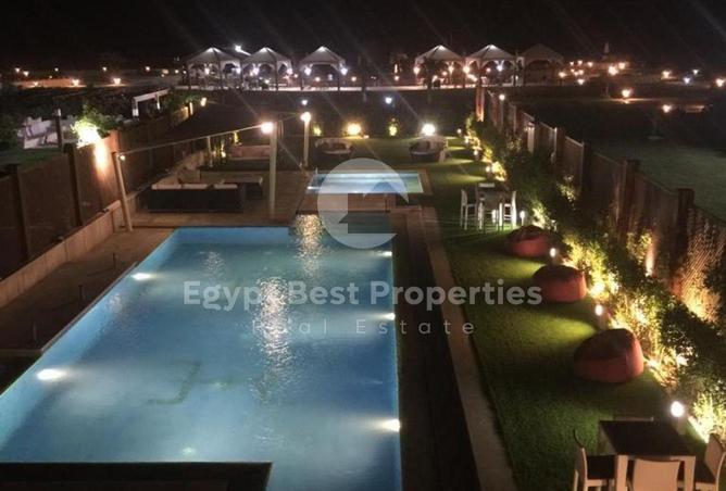 8383737 - Property Image 3