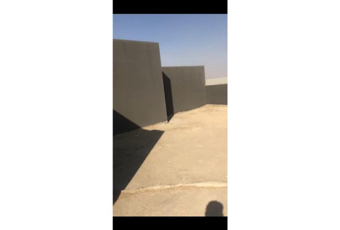 8313063 - صورة العقار 2