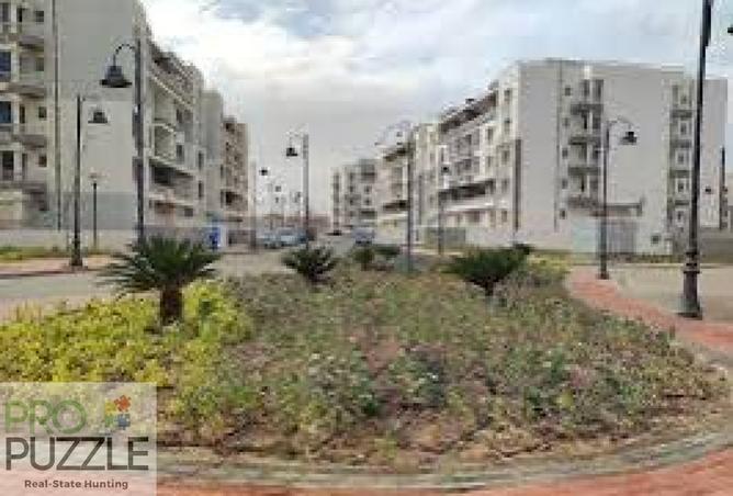 7901445 - صورة العقار 3