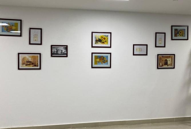 8207956 - صورة العقار 3