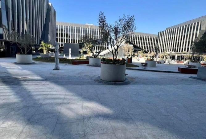 8355937 - Property Image 3