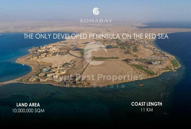 8039009 - Property Image 3
