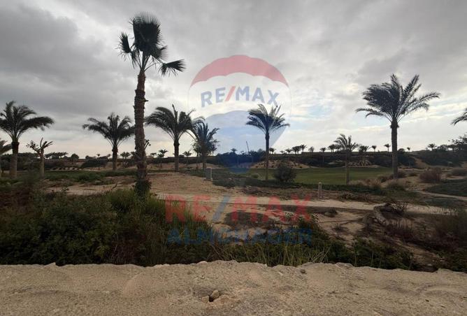 8473617 - Property Image 3