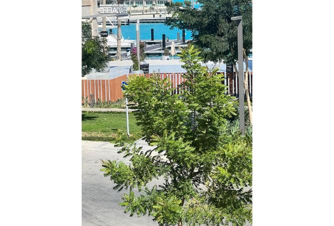 8100750 - Property Image 2