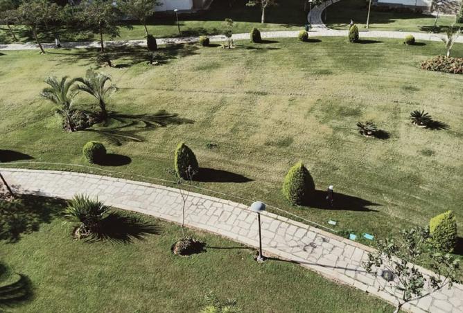 8559281 - صورة العقار 3