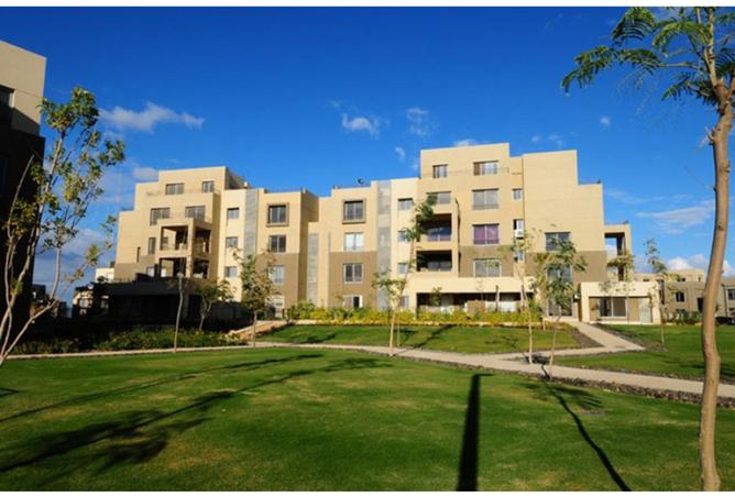 8098217 - Property Image 3