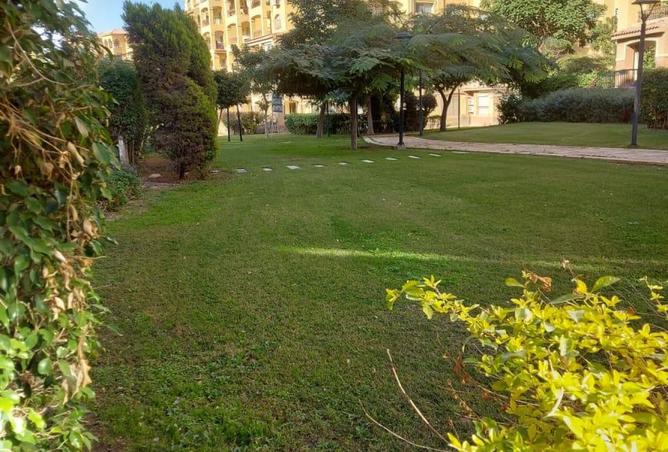 8516705 - الصورة الرئيسية للعقار