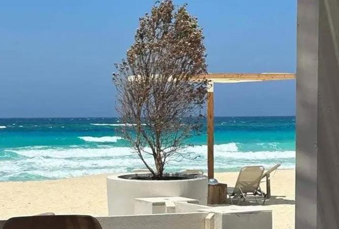 7927328 - صورة العقار 3