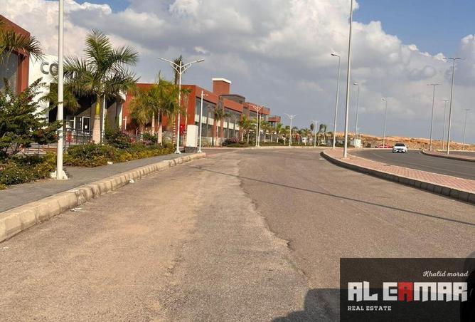 7828948 - صورة العقار 3