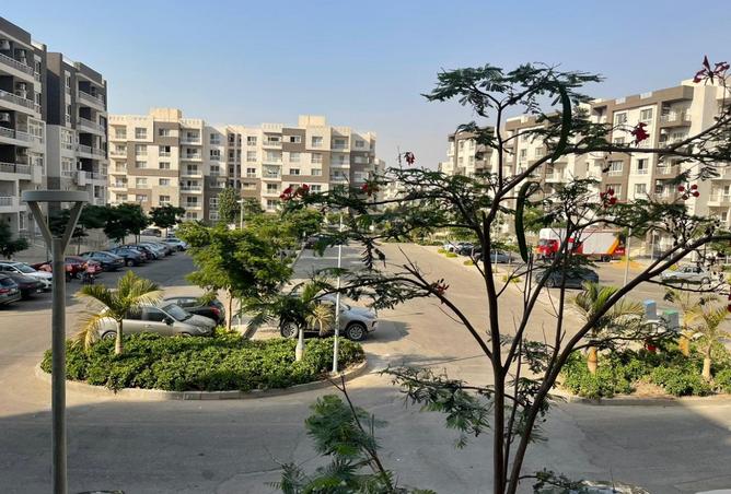 8103541 - صورة العقار 3