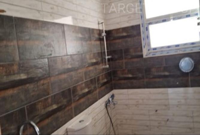 8138250 - Property Image 3