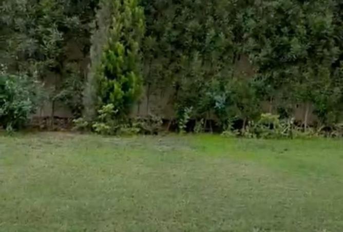 8495526 - صورة العقار 3