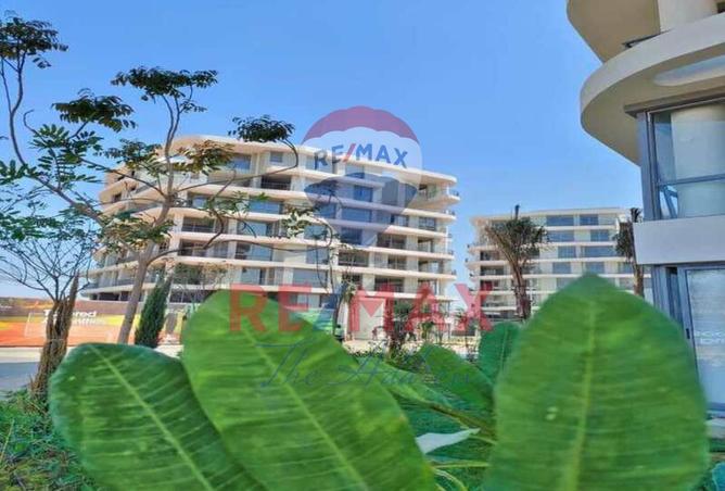 8233290 - Property Image 3