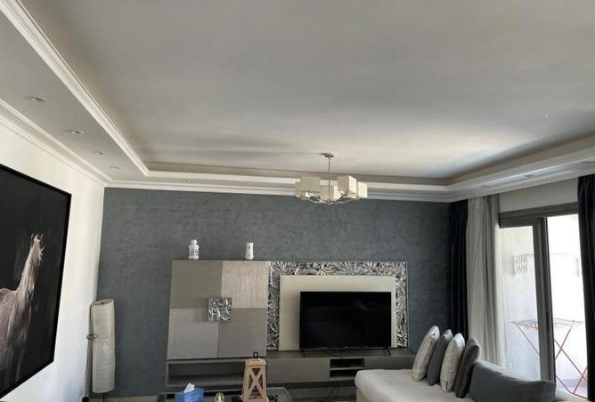 8138598 - Property Image 2