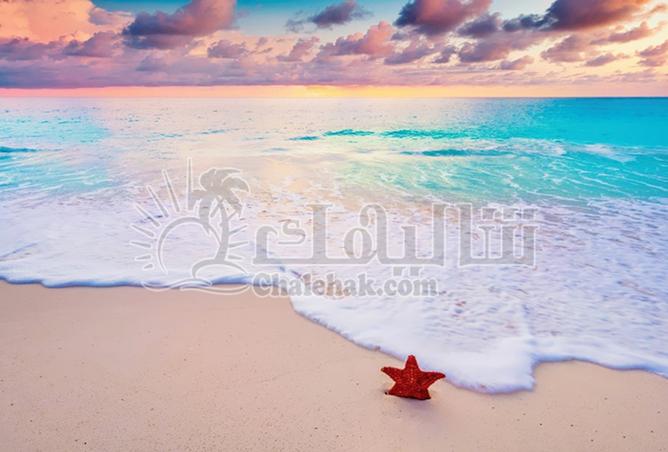 7883415 - صورة العقار 3