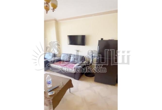 8078897 - Property Image 2