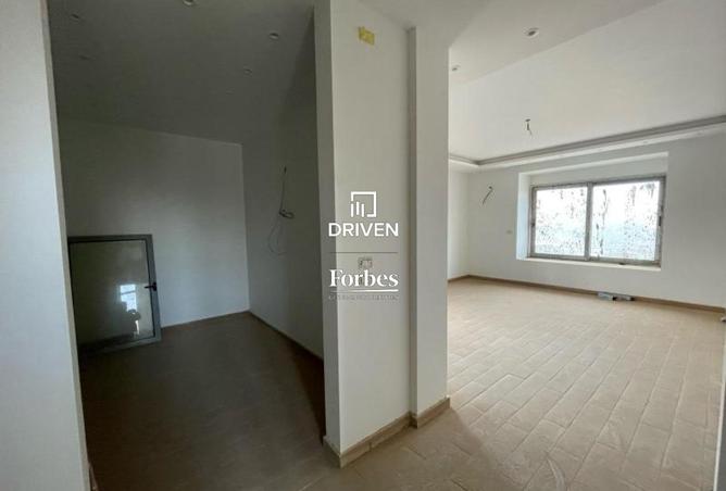 8126797 - Property Image 2