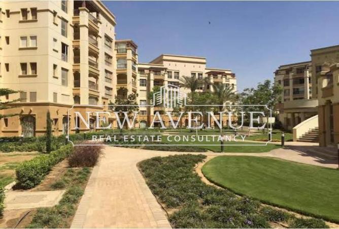 8214784 - Property Image 2