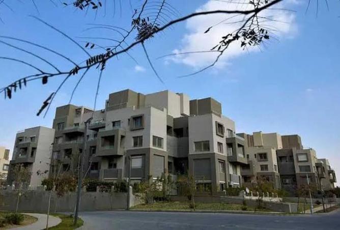 8152951 - Property Image 3